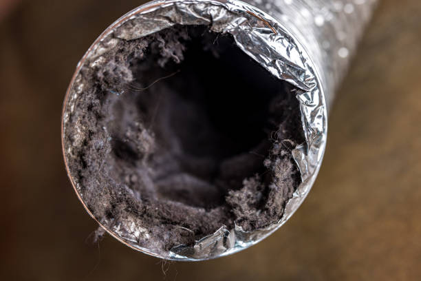 Best Affordable Duct Cleaning Services  in Coconut Creek, FL