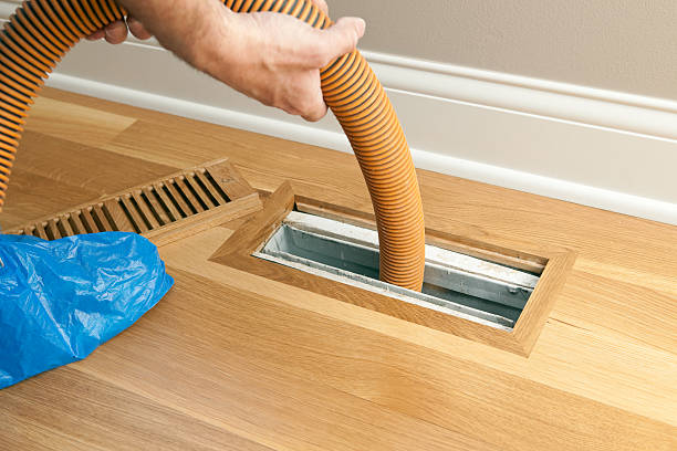 Best Air Duct Mold Removal  in Coconut Creek, FL